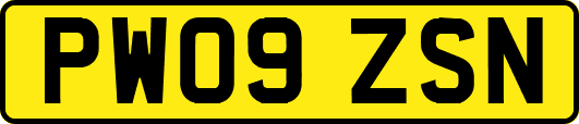 PW09ZSN