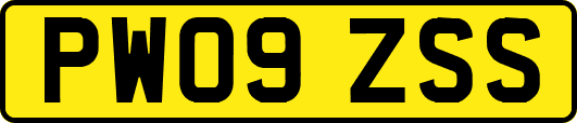 PW09ZSS