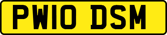 PW10DSM