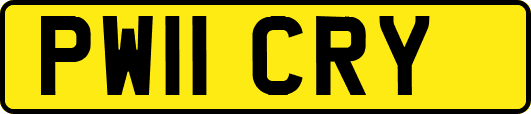 PW11CRY