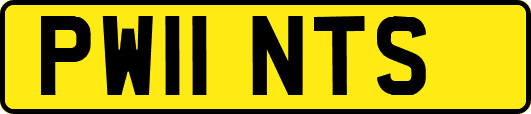PW11NTS