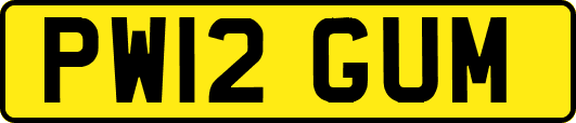 PW12GUM