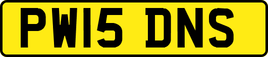 PW15DNS