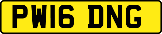 PW16DNG