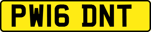 PW16DNT