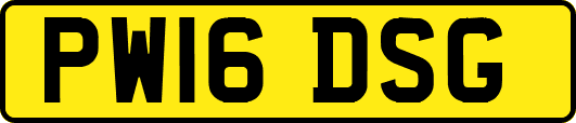 PW16DSG