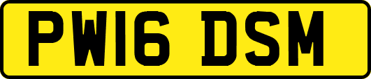 PW16DSM