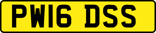 PW16DSS