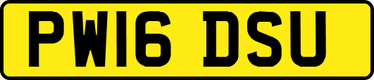 PW16DSU