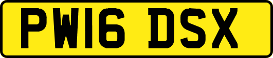 PW16DSX