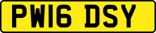 PW16DSY