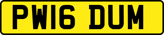 PW16DUM