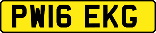 PW16EKG