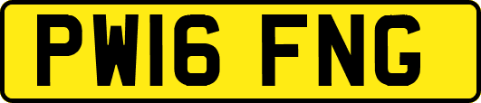 PW16FNG