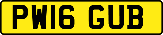 PW16GUB