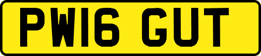 PW16GUT
