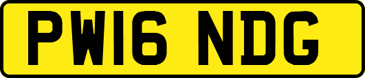 PW16NDG