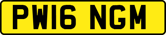 PW16NGM