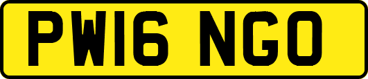 PW16NGO