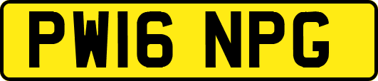 PW16NPG