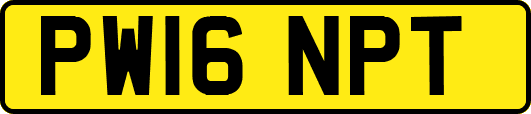 PW16NPT