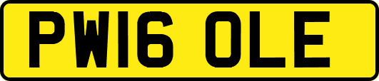 PW16OLE