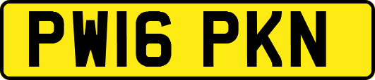 PW16PKN