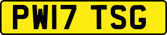 PW17TSG
