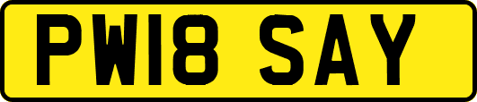 PW18SAY