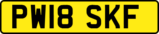 PW18SKF