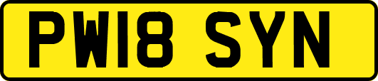 PW18SYN