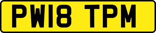 PW18TPM