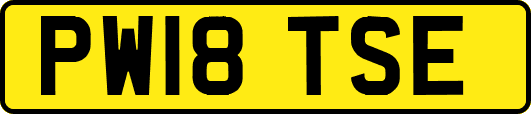 PW18TSE