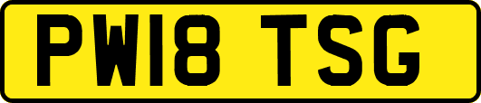 PW18TSG