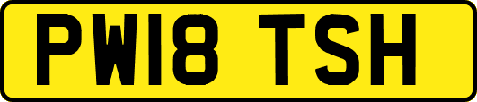 PW18TSH