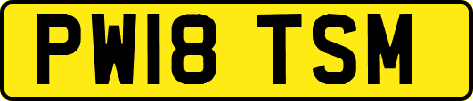 PW18TSM