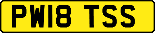 PW18TSS