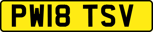 PW18TSV