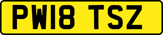 PW18TSZ