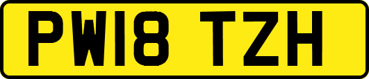PW18TZH