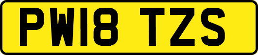 PW18TZS