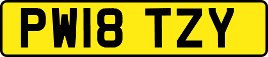 PW18TZY