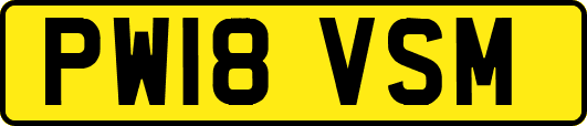 PW18VSM