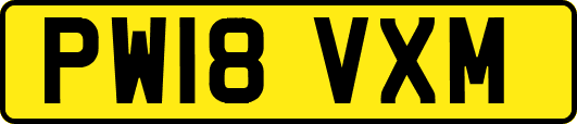 PW18VXM