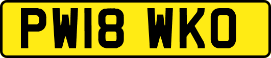 PW18WKO