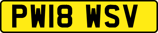 PW18WSV
