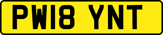 PW18YNT