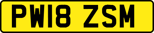 PW18ZSM