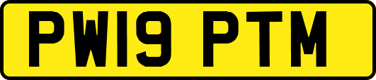 PW19PTM