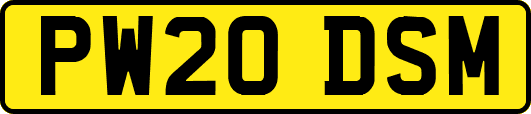 PW20DSM